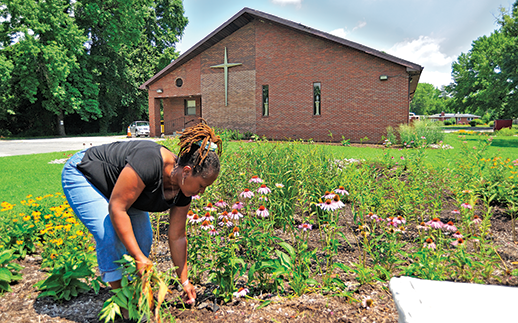 Belinda Thomas, wife of the minister, cleans up one of the five gardens at Empowering Believers Church of the Apostolic Faith in Glen Burnie, Maryland. Photograph, Michael W. Fincham